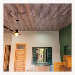 Cielorraso carrousel a5